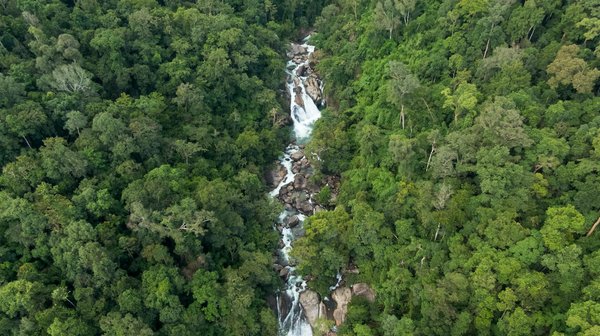 Boostez Votre Design en Intégrant la Richesse de la Diversité Culturelle
