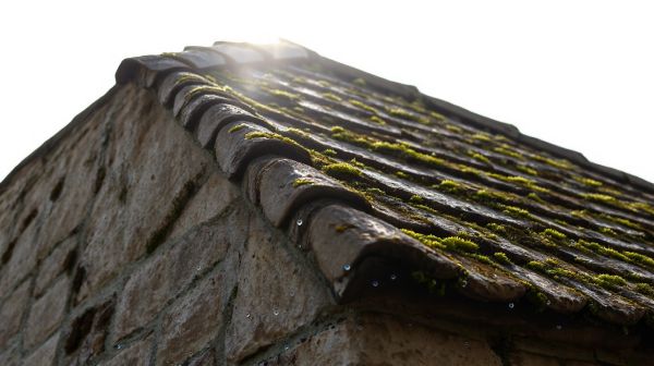 Top stratégies pour un démoussage efficace de votre toiture et façade